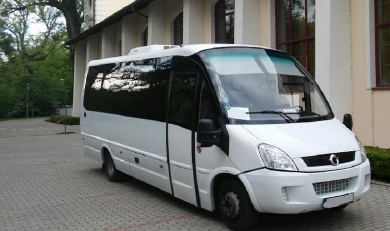 Bus order in Bjelovar